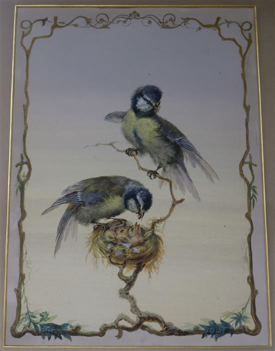 Hesselberg Study of Blue tits and nest of chicks 34 x 25cm